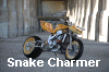 Snake Charmer by Altered Chrome