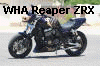 Wild Hair's Reaper ZRX 1100